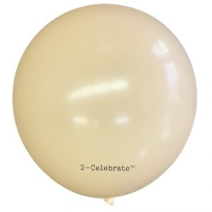 Blush Latex Balloon - 2-Celebrate